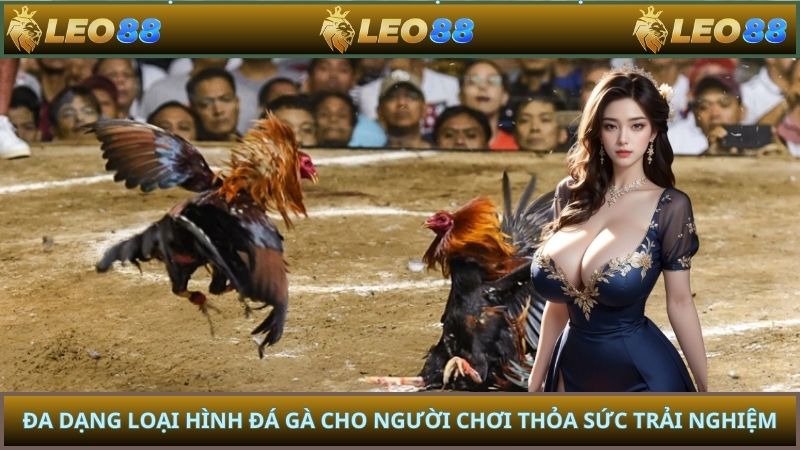 Đa dạng loại hình đá gà cho người chơi thỏa sức trải nghiệm