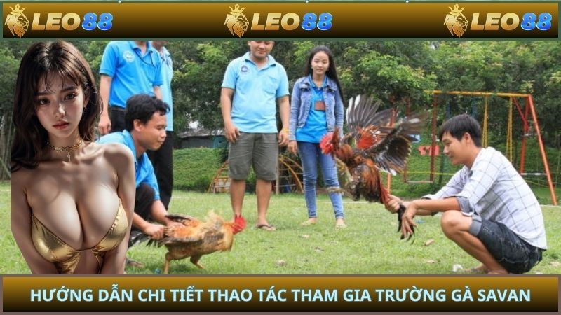 Hướng dẫn chi tiết thao tác tham gia trường gà savan