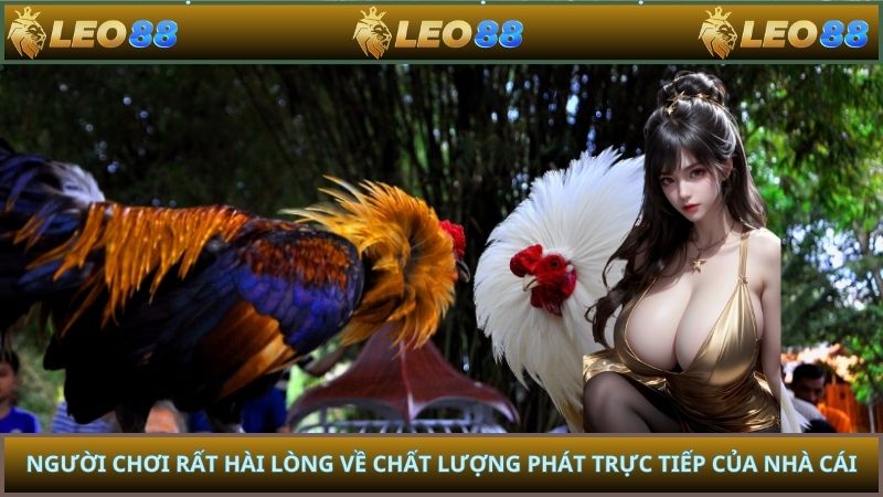 Người chơi rất hài lòng về chất lượng phát trực tiếp của nhà cái