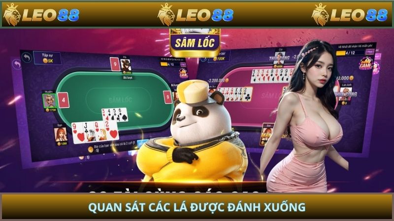 Quan sát các lá được đánh xuống