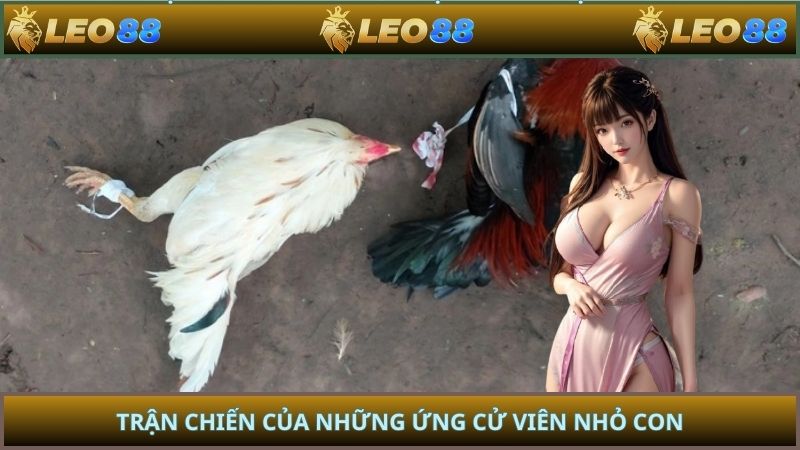 Trận chiến của những ứng cử viên nhỏ con